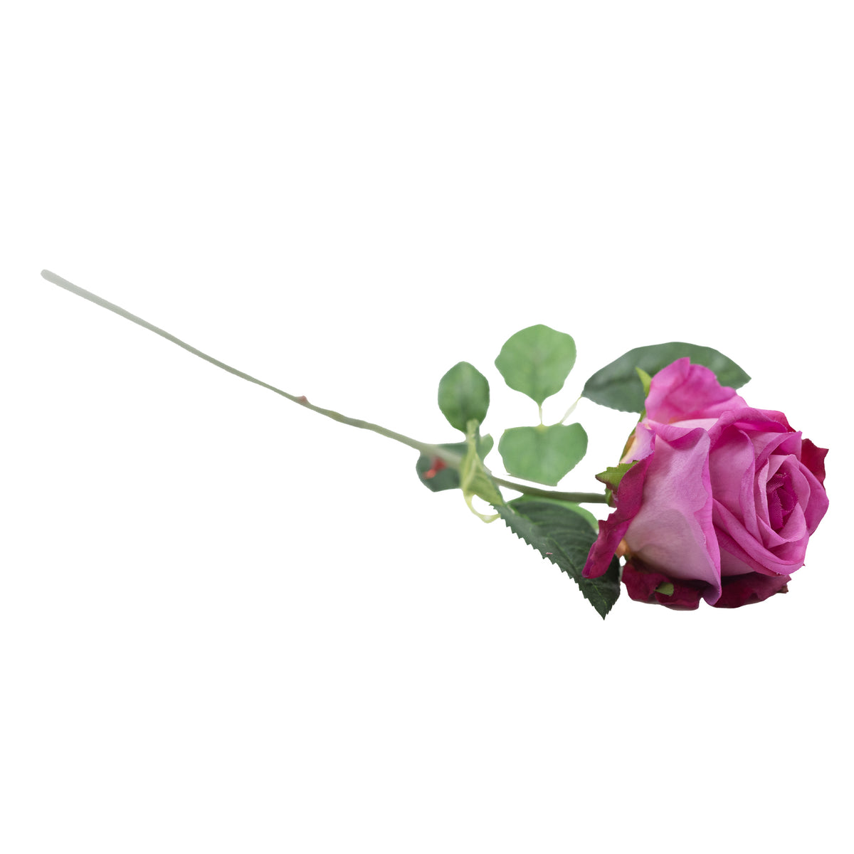 Semi Open Rose Purple Pink Stem - 65cm