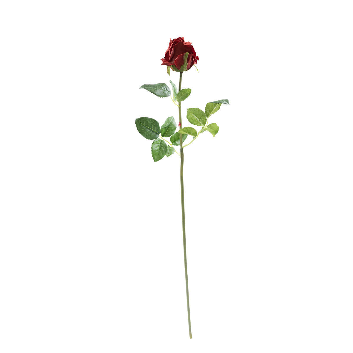 Semi Open Rose Red Real Touch Stem - 65cm