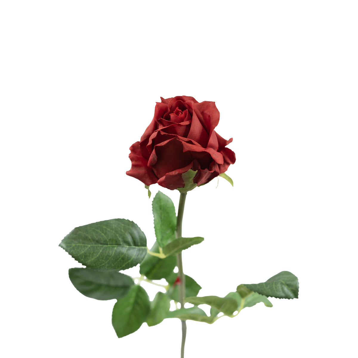 Semi Open Rose Red Real Touch Stem - 65cm