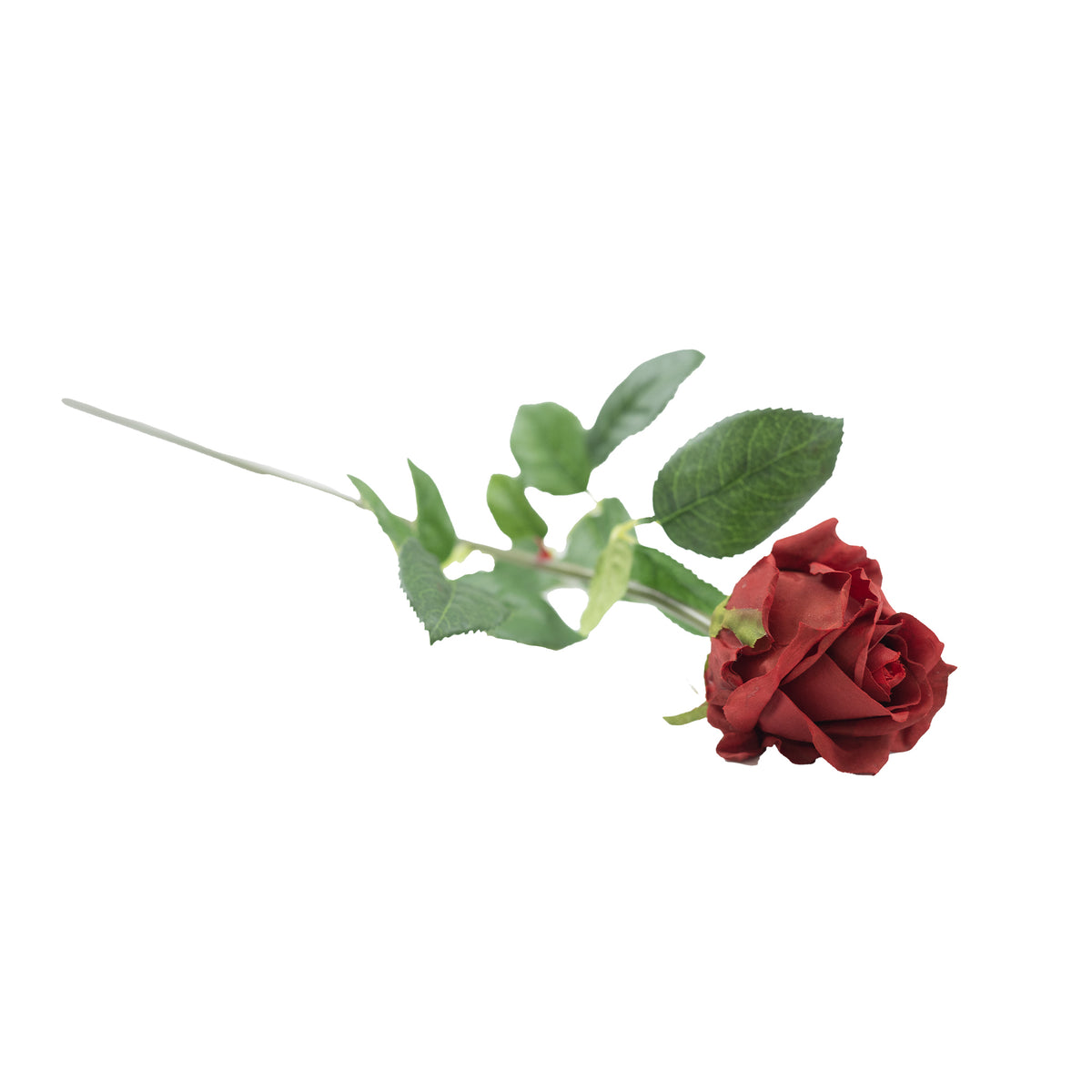 Semi Open Rose Red Real Touch Stem - 65cm