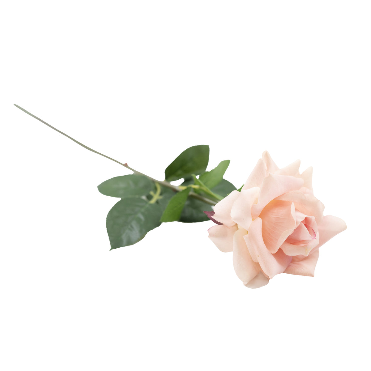 Open Rose Light Pink Real Touch Silk Flower Stem - 75cm