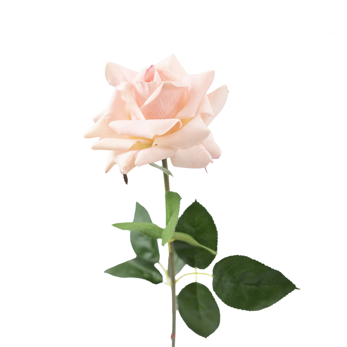 Open Rose Light Pink Real Touch Silk Flower Stem - 75cm
