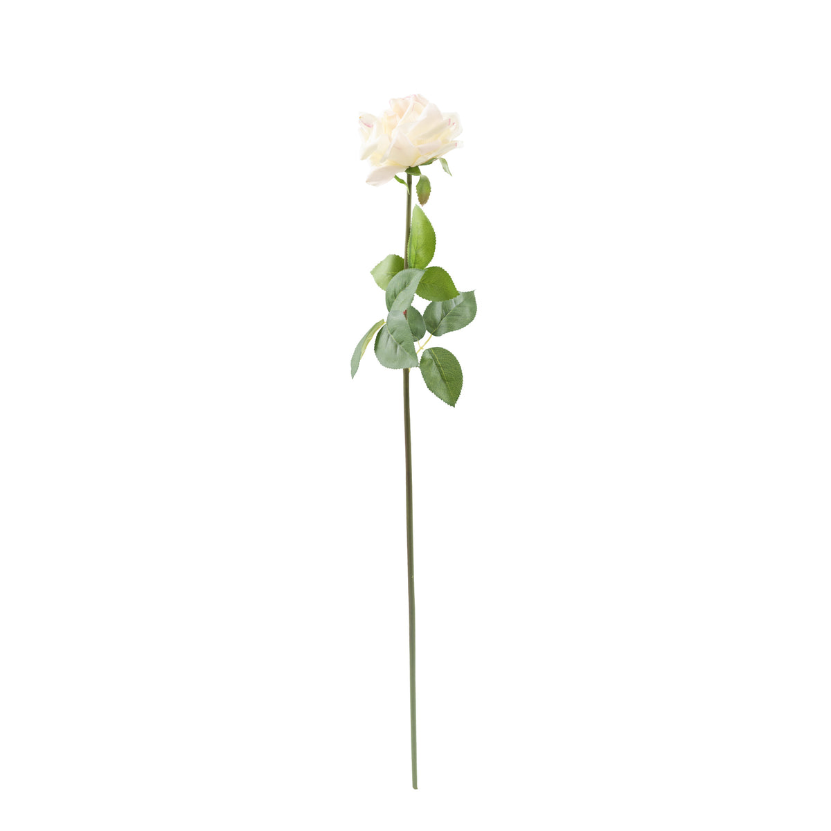 Open Rose White Pink Real Touch Silk Flower Stem - 75cm