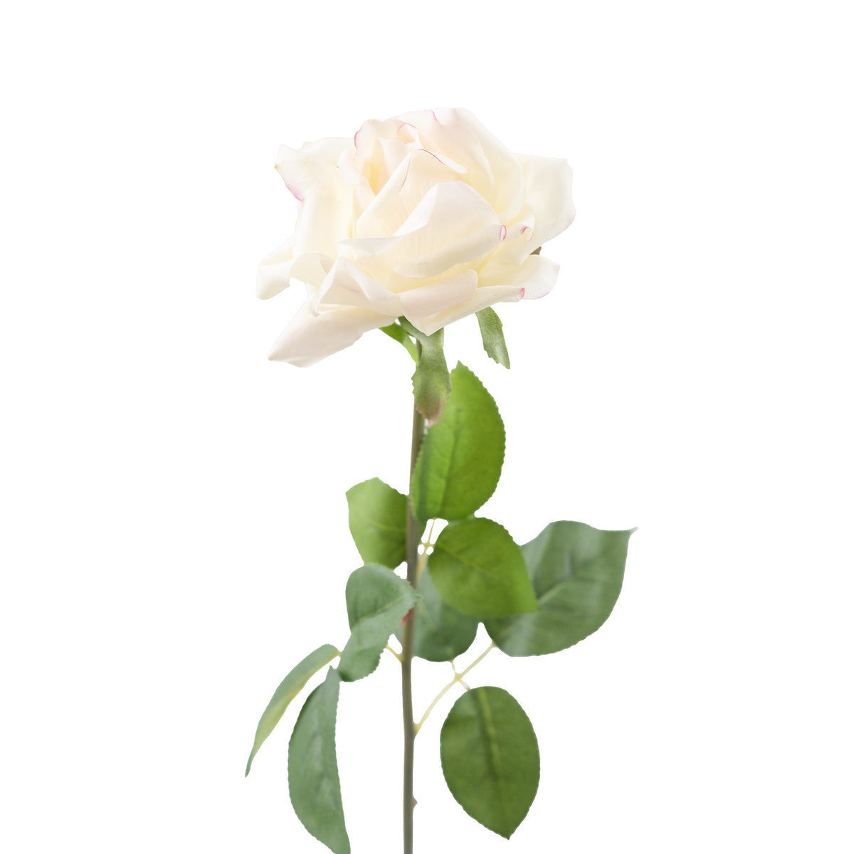 Open Rose White Pink Real Touch Silk Flower Stem - 75cm