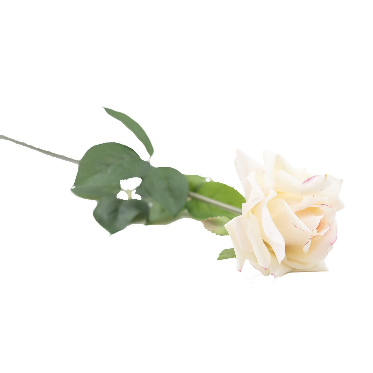 Open Rose White Pink Real Touch Silk Flower Stem - 75cm