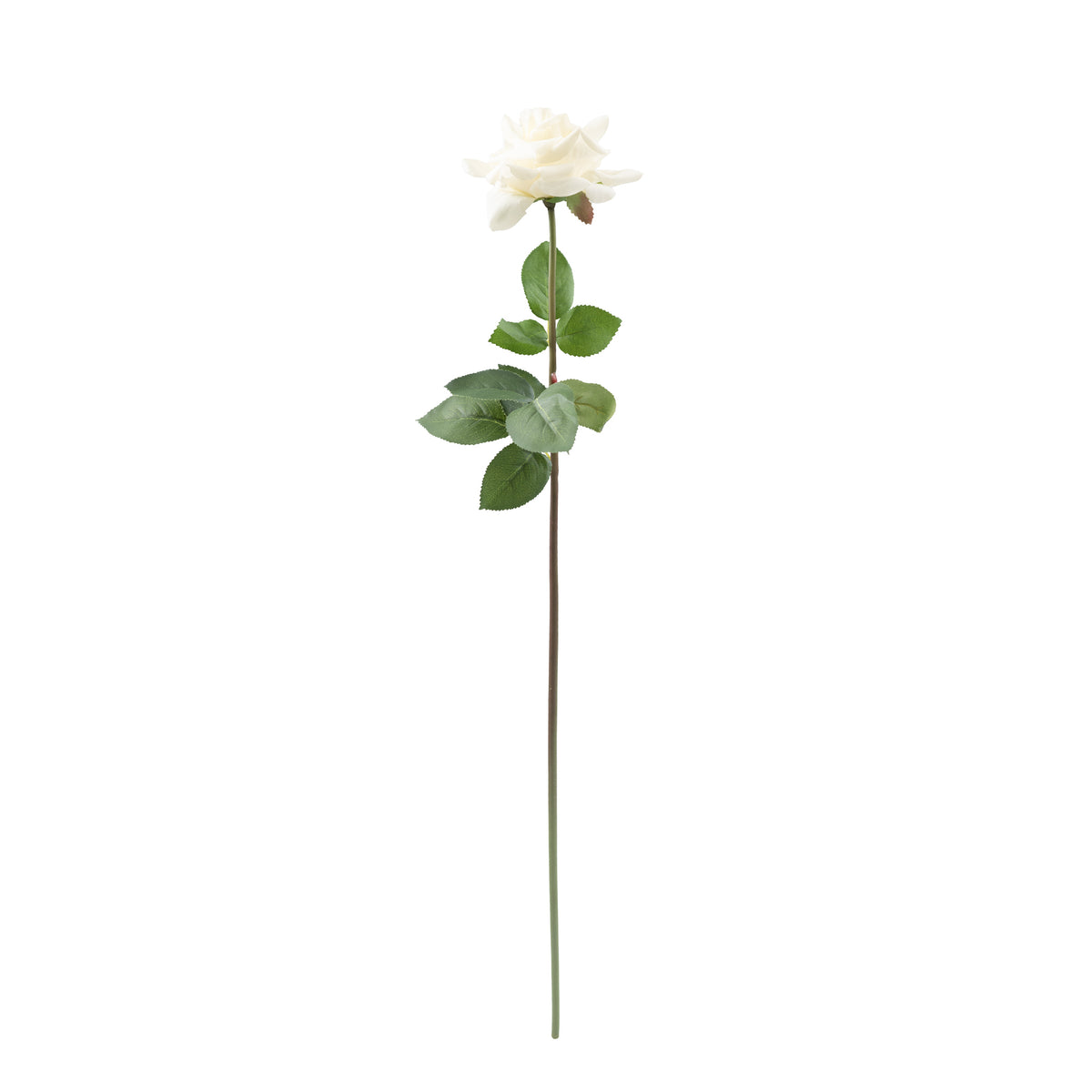 Open Rose White Real Touch Silk Flower Stem - 75cm