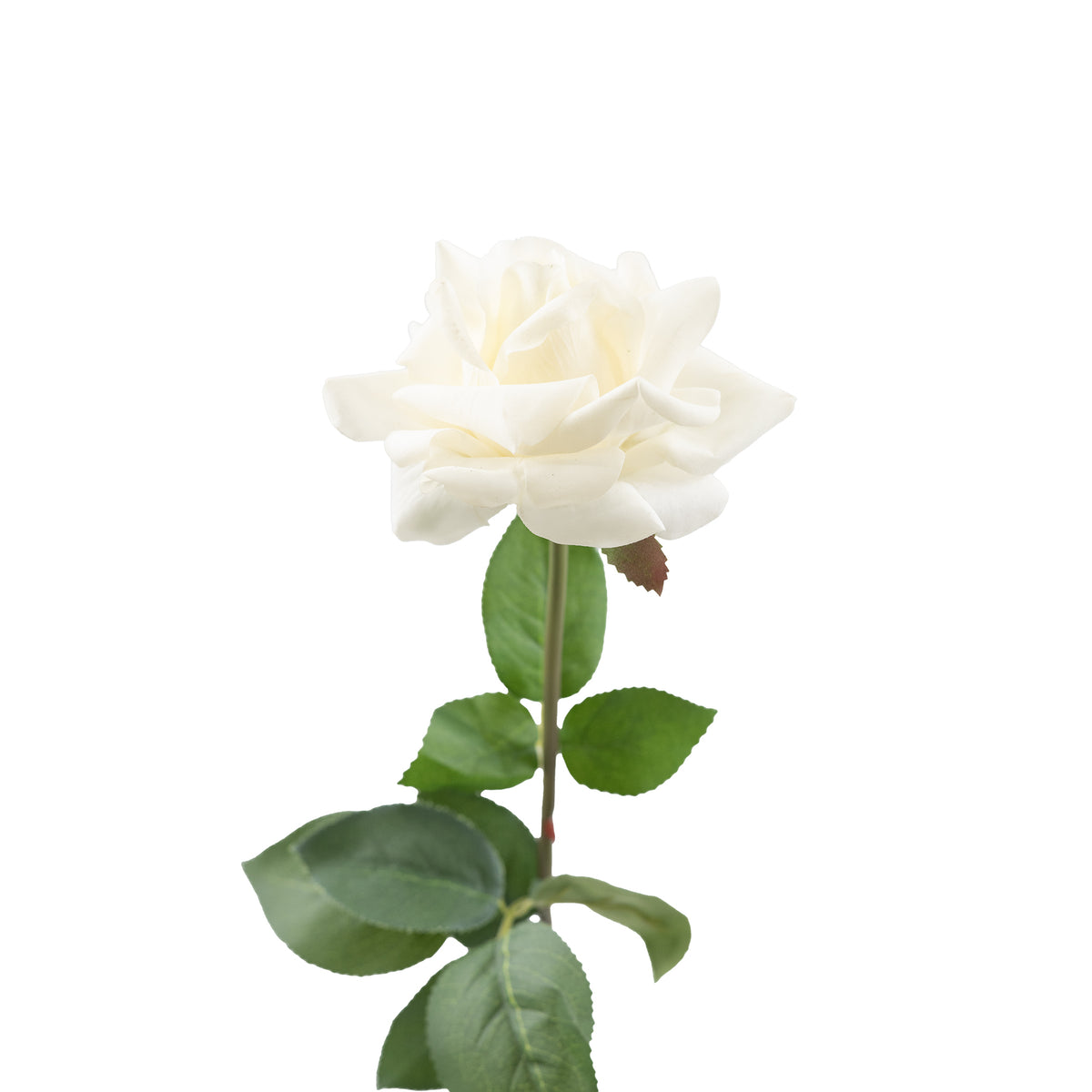 Open Rose White Real Touch Silk Flower Stem - 75cm