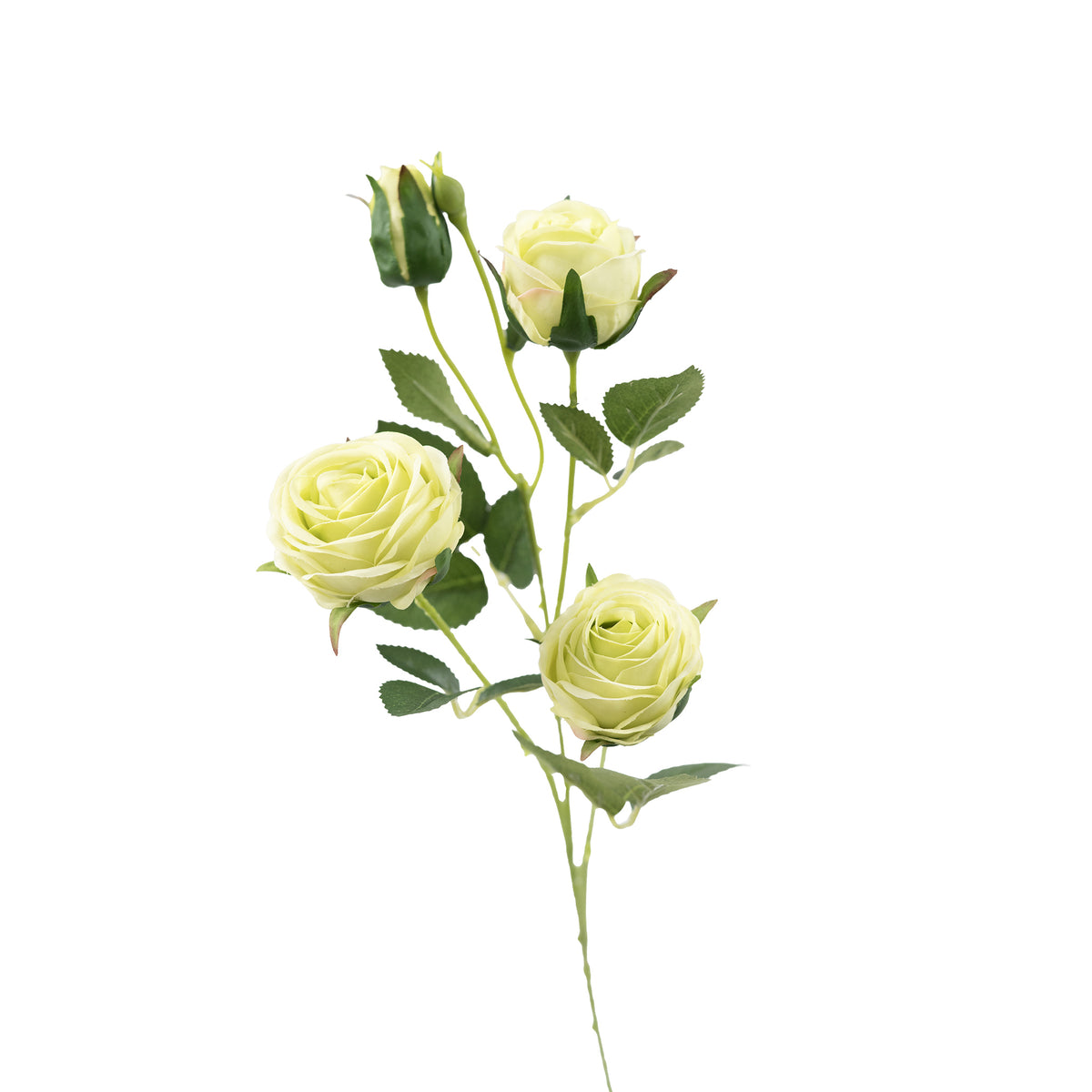 Rose Floribunda Cream Green Silk Flower Stem - 60cm