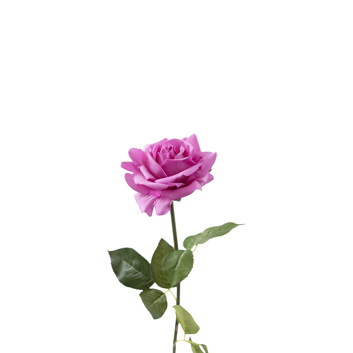 Tea Rose Purple Flower Stem - 75cm