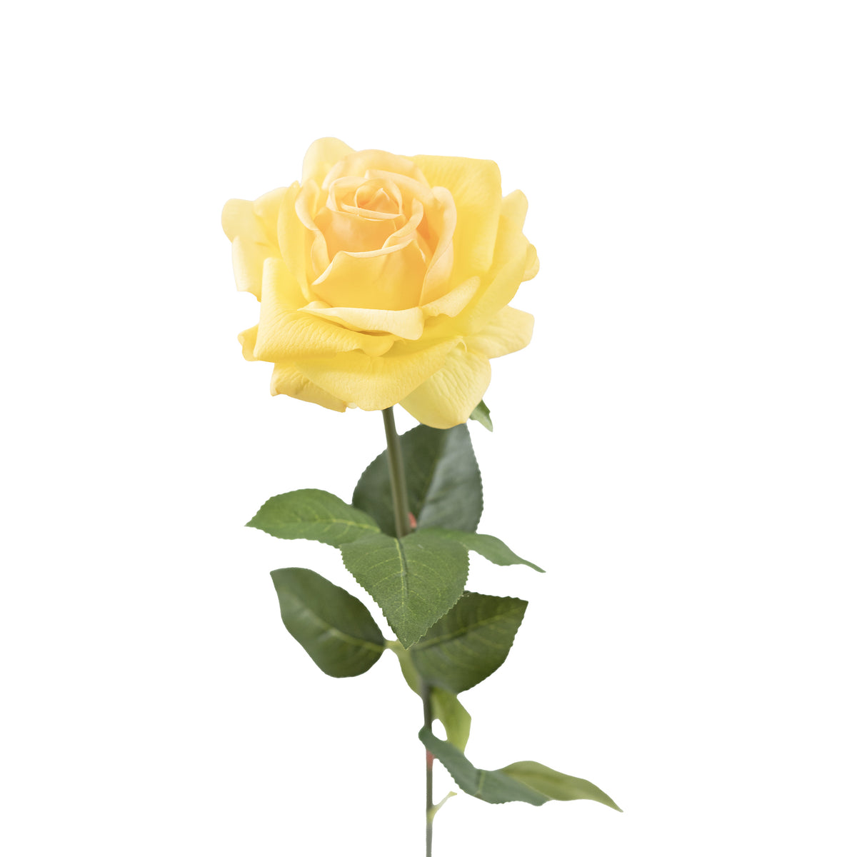 Tea Rose Yellow Flower Stem - 75cm