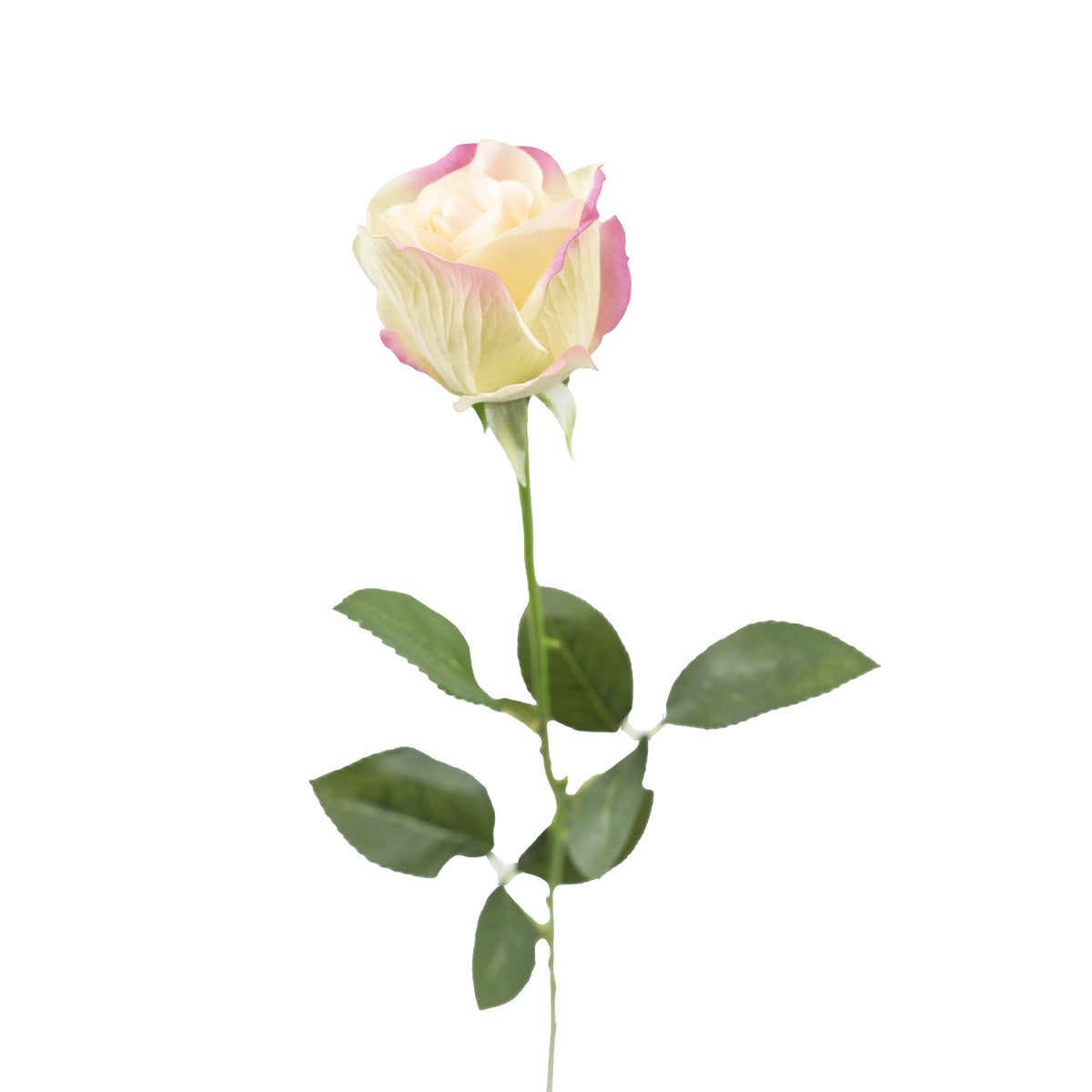 Rose Pink Silk Flower Stem - 66cm