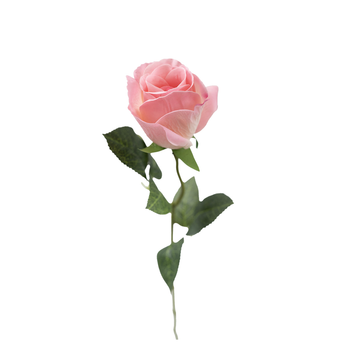 Rose Pink Blush Real Touch Silk Flower Stem - 50cm