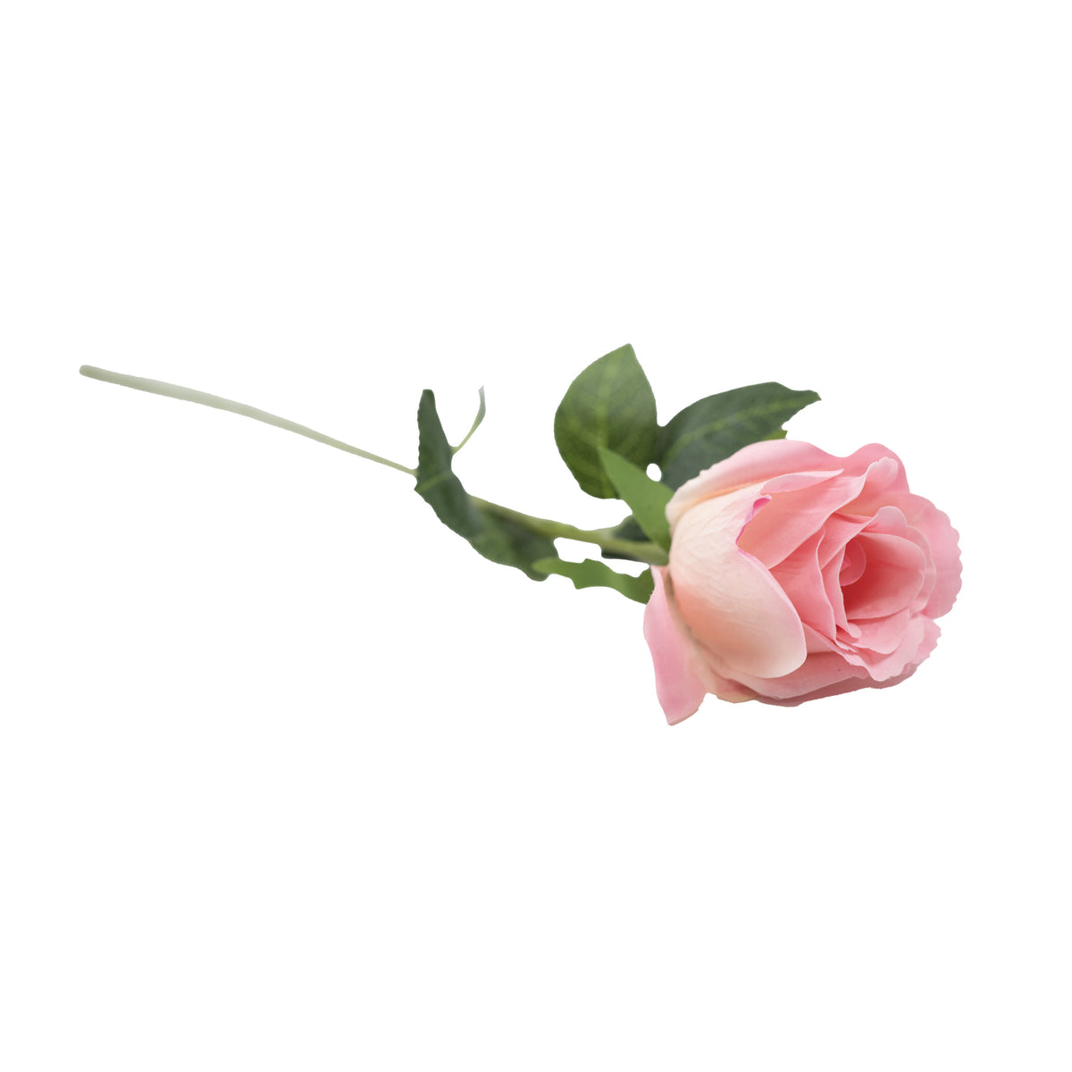 Rose Pink Blush Real Touch Silk Flower Stem - 50cm