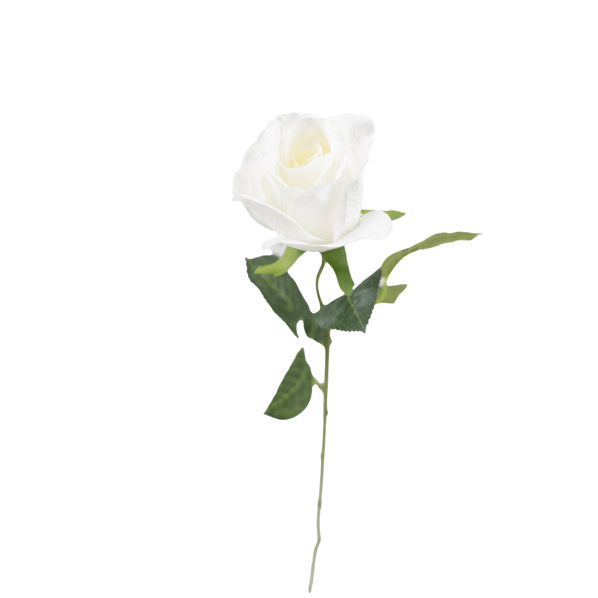 Rose White Real Touch Stem - 50cm