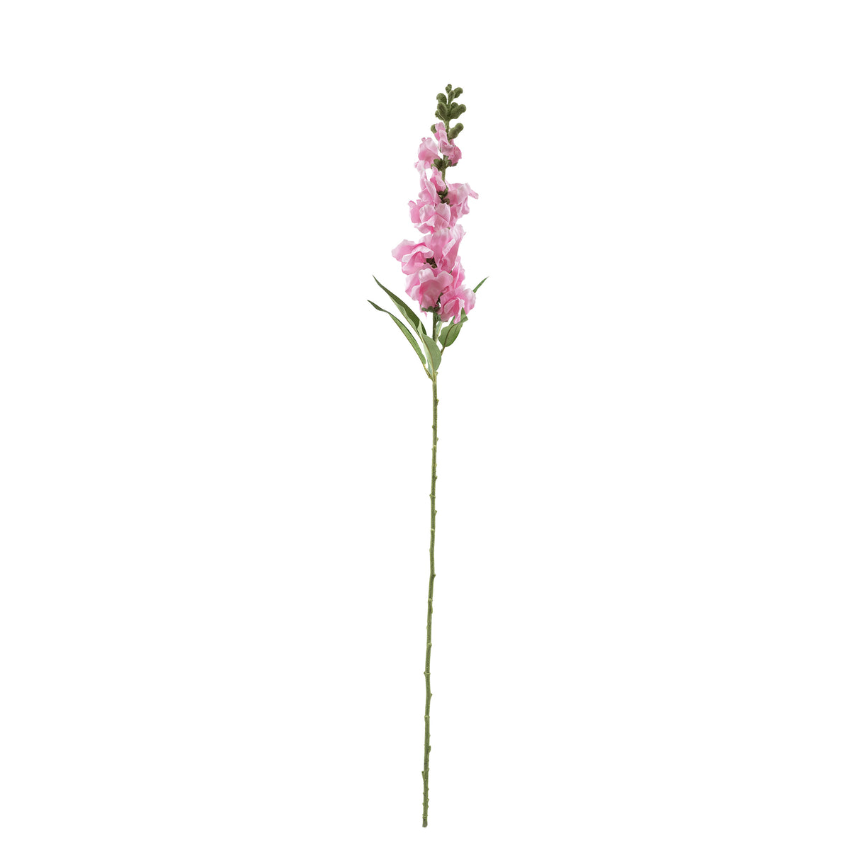 Snapdragon Dark Pink Stem - 92cm