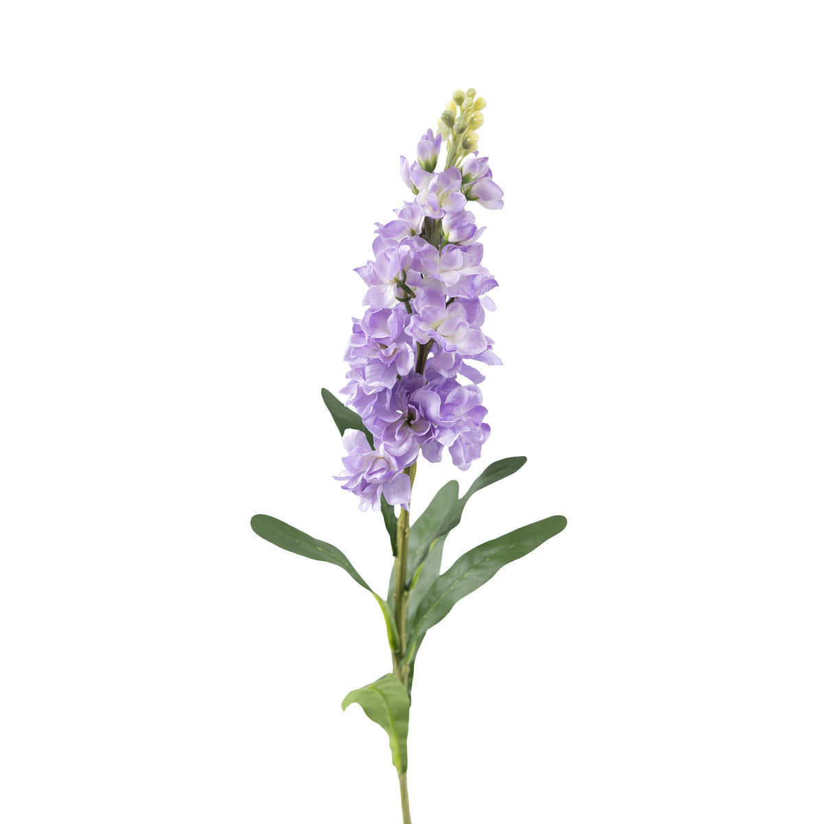 Snapdragon Light Purple Stem - 82cm