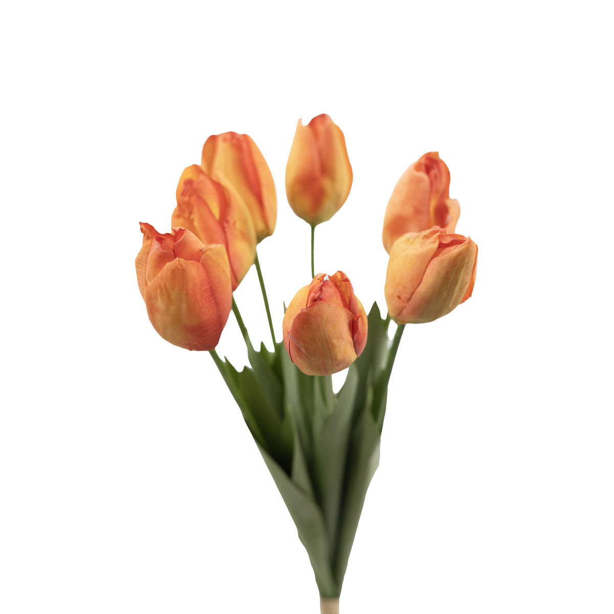 Tulip Bunch Orange - 45cm