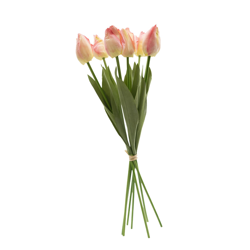 Light Pink Bunch of Tulips available from Plant Couture