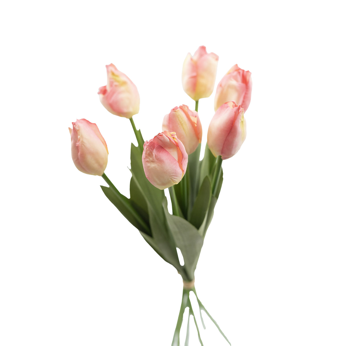 Light Pink Bunch of Tulips available from Plant Couture