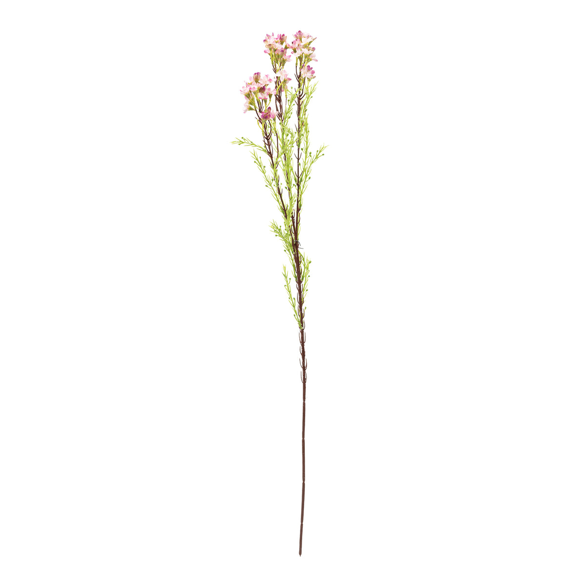 Wax Flower Pink - 80cm