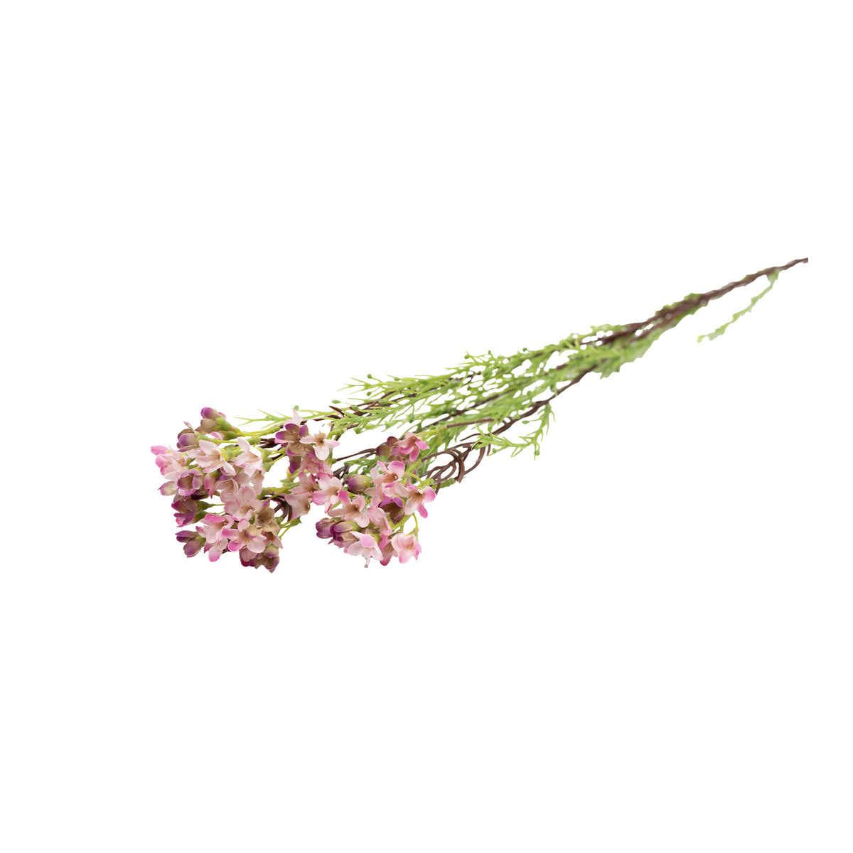 Wax Flower Pink - 80cm