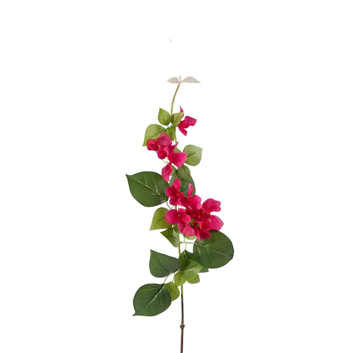 Single Bouganvillea Flower Stem - 82cm