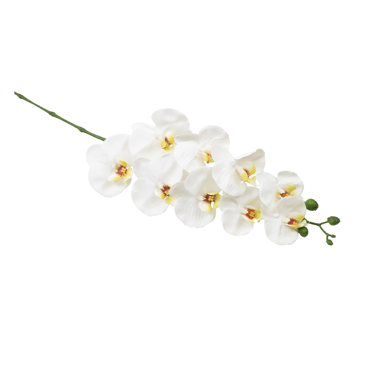 Phalaenopsis Orchid White Silk Flower Stem - 105cm