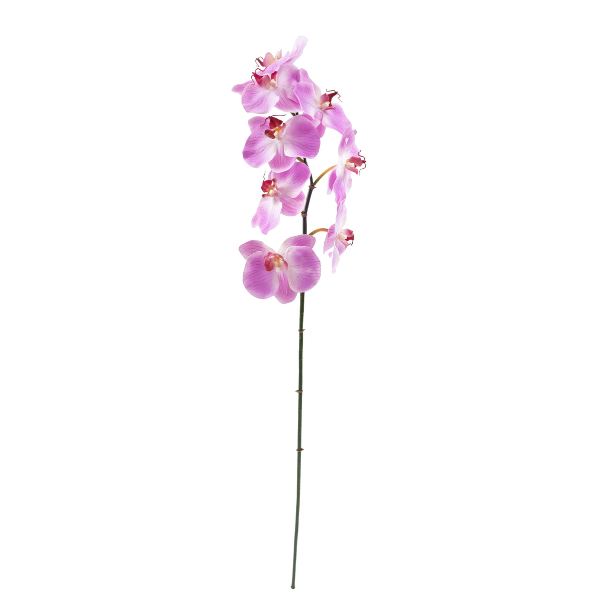 Phalaenopsis Orchid PU White Stem - 90cm