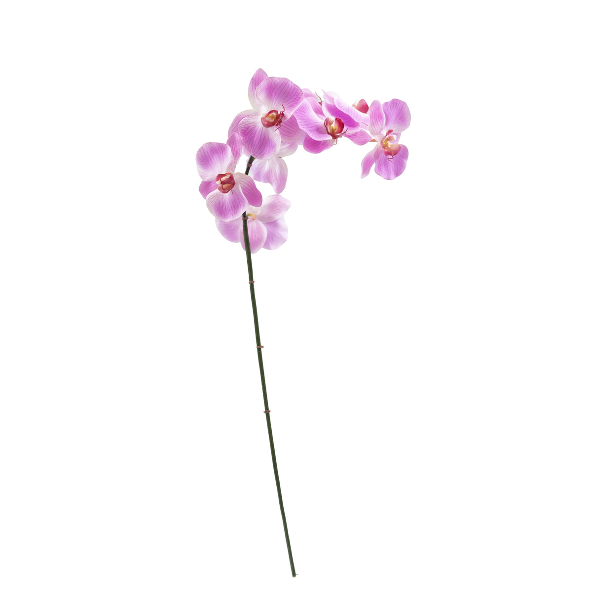 Phalaenopsis Orchid PU White Stem - 90cm