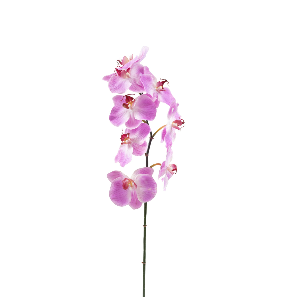 Phalaenopsis Orchid PU White Stem - 90cm