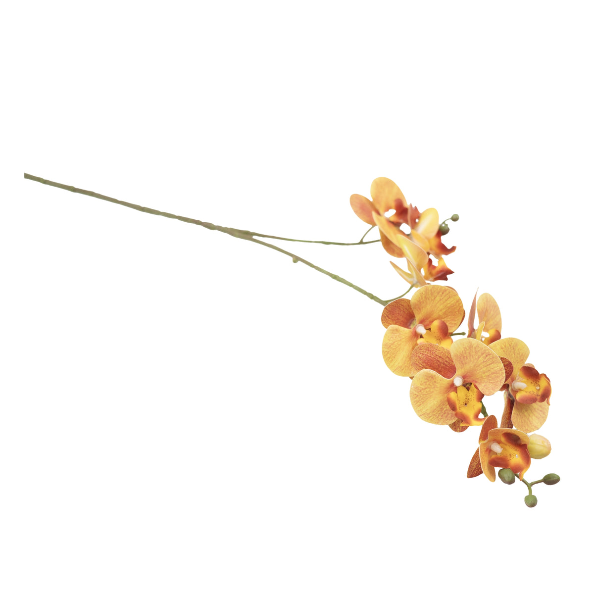 Phalaenopsis Orchid Orange - 72cm