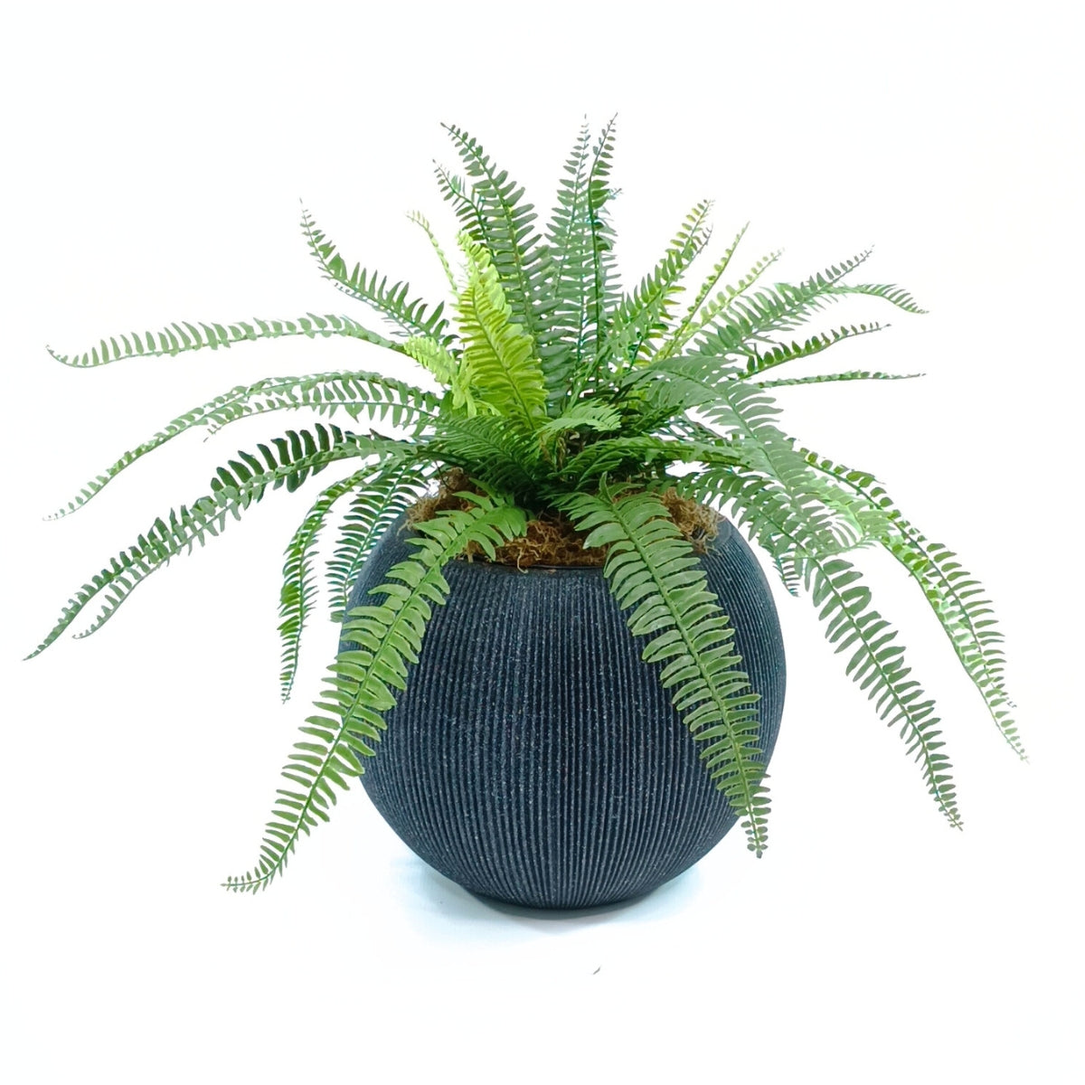 Nature Ridge Bowl 37 x 30cm - Plant Couture