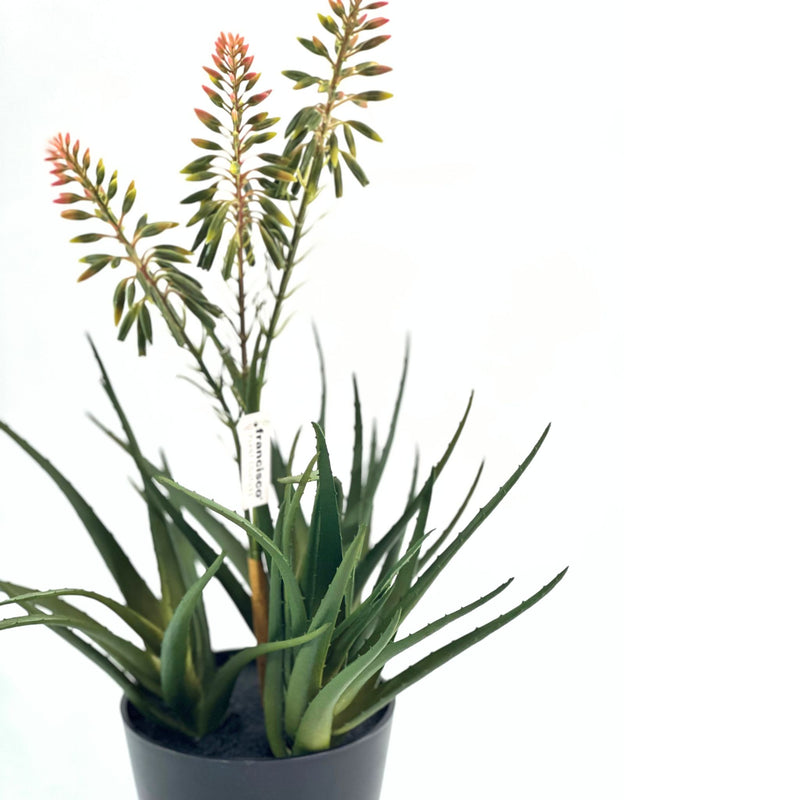 Artificial Aloe with Flowers 55cm available from www.plantcouture.co.za