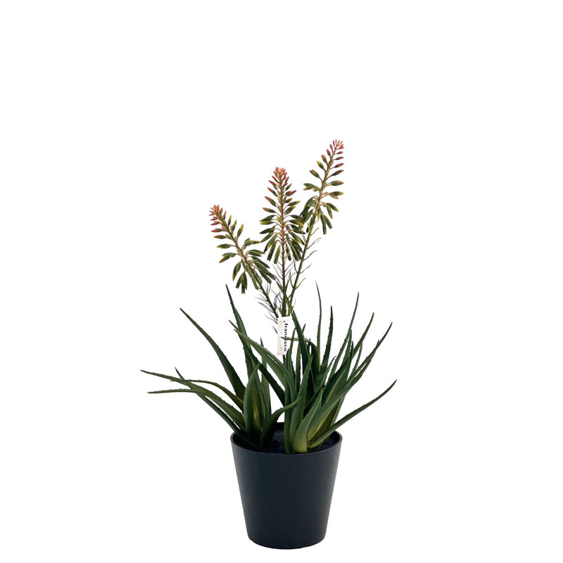 Artificial Aloe with Flowers 55cm available from www.plantcouture.co.za