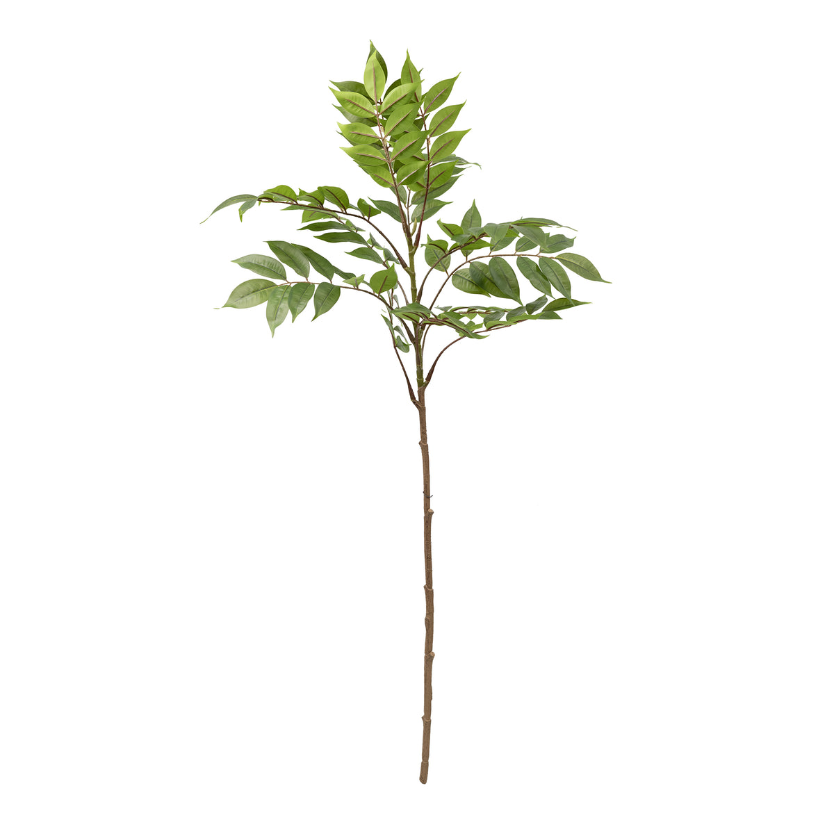 Tree Branch - 88cm