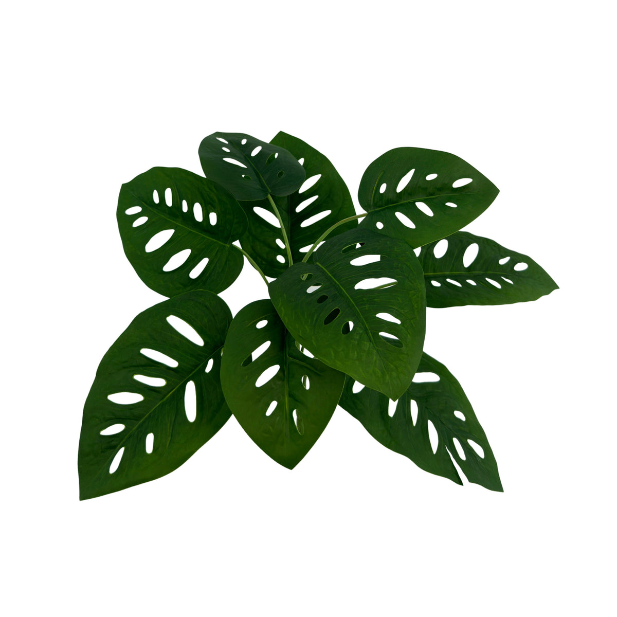 Filler Monkey Monstera Real Touch 9 Leaves - 37cm