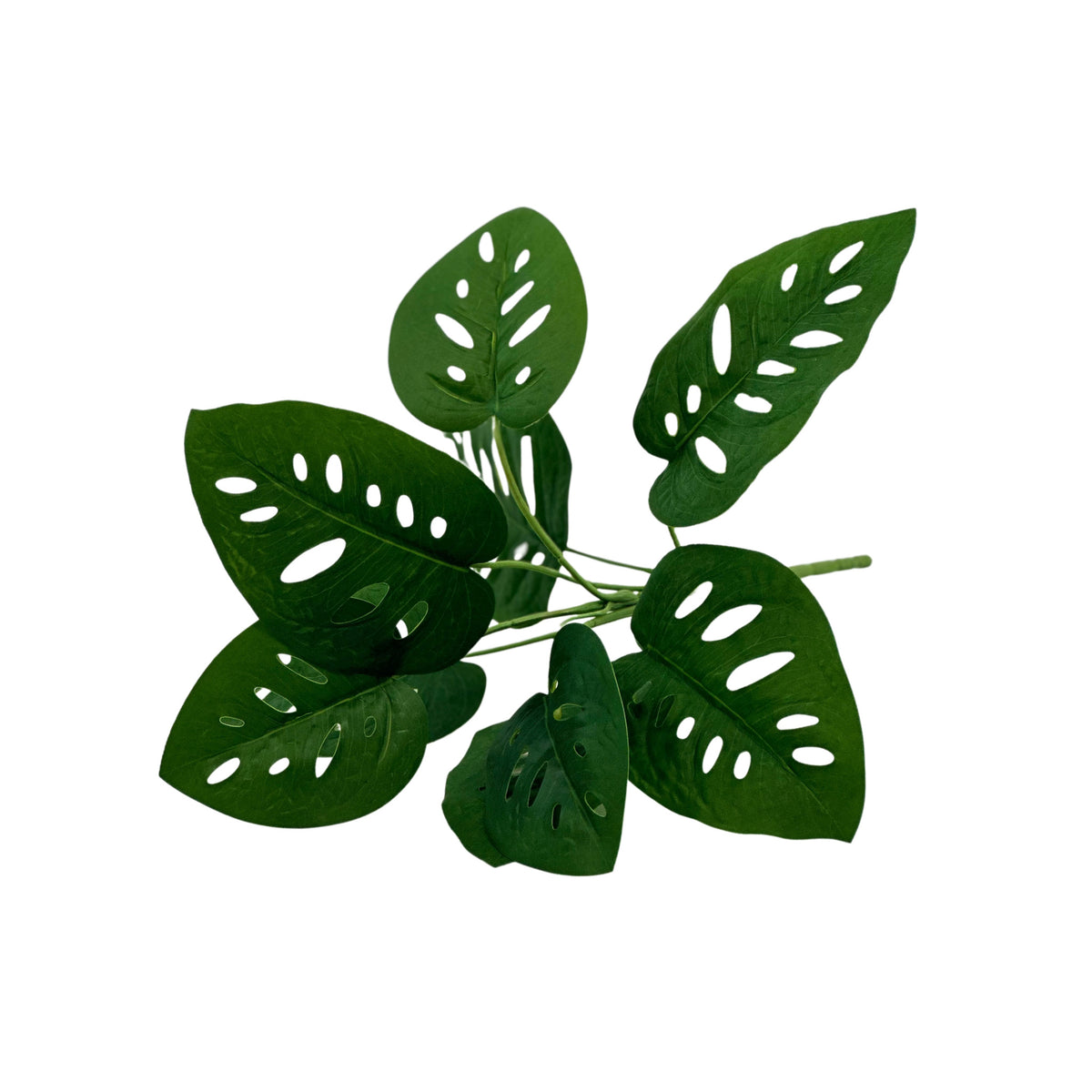 Filler Monkey Monstera Real Touch 9 Leaves - 37cm