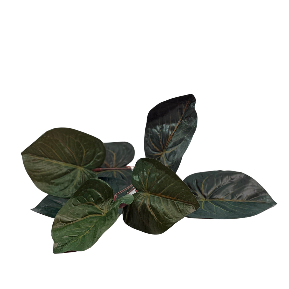 Side view of the Filler Anthurium Real Touch Bunch 9 Leaves - 45cm. Artificial foliage, plants, trees and silk flowers available from www.plantcouture.co.za