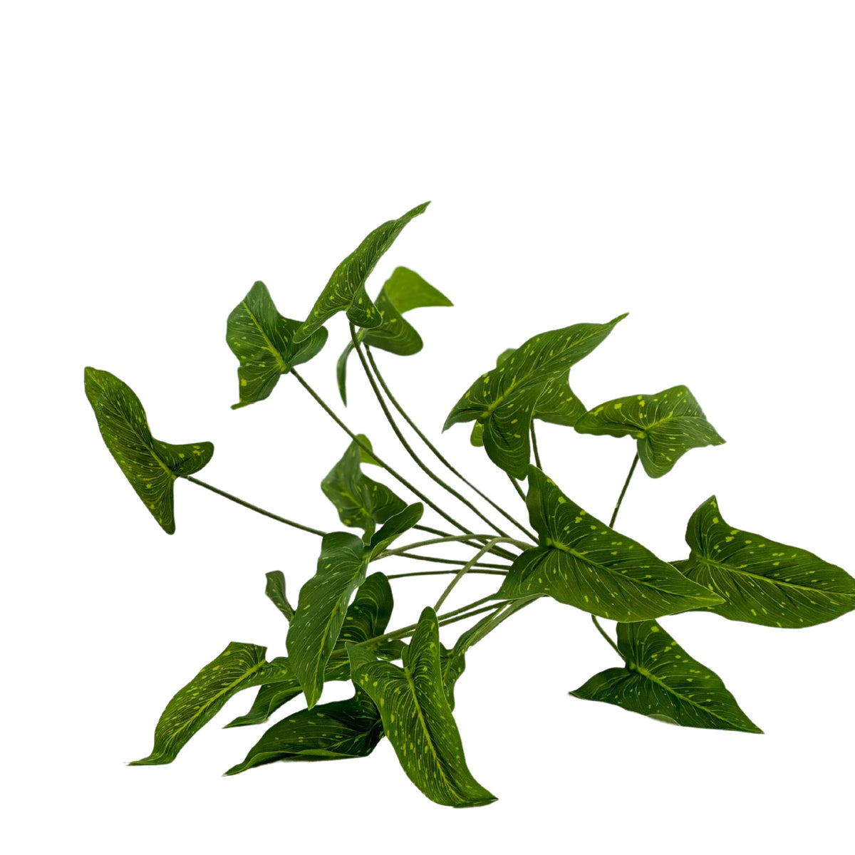 Filler Syngonium Bush Real Touch 18 Leaves - 46cm