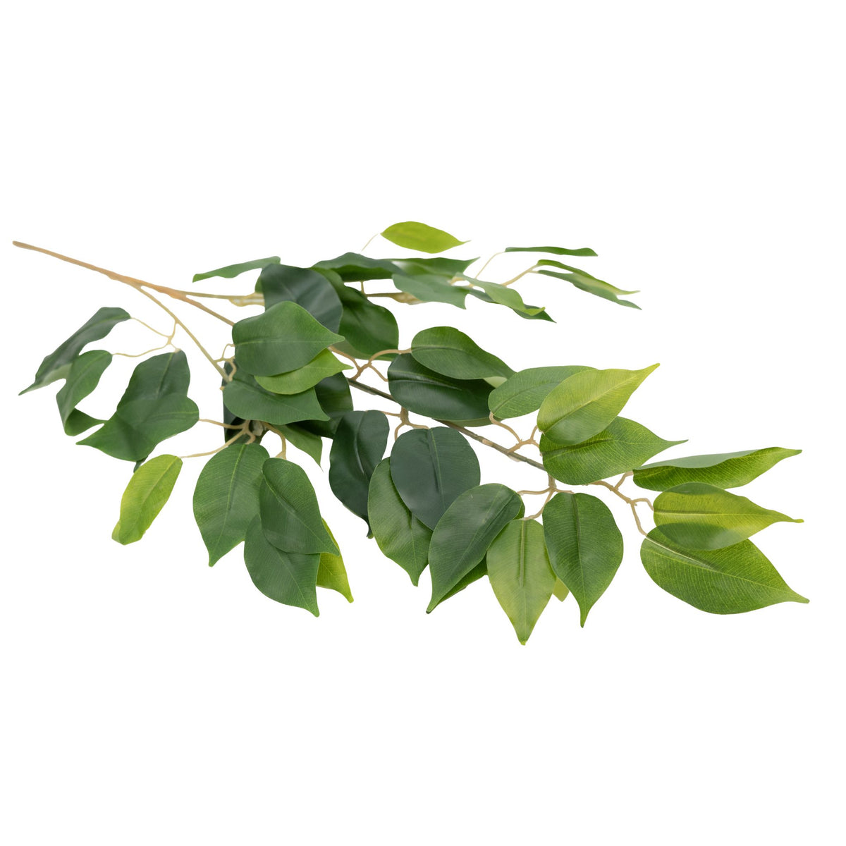 Ficus Branch Bunch x12 55cm - Artificial Plants. Purchase from www.plantcouture.co.za