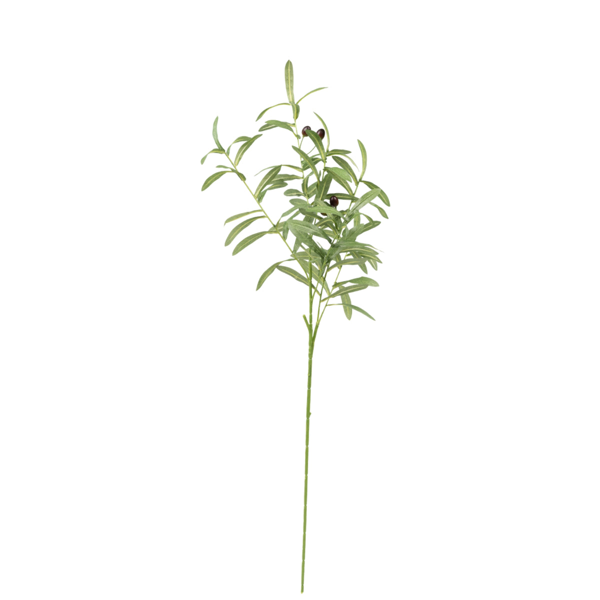 Olive Branch with Fruit - 90cm. Silk flower stem available from Plant couture.