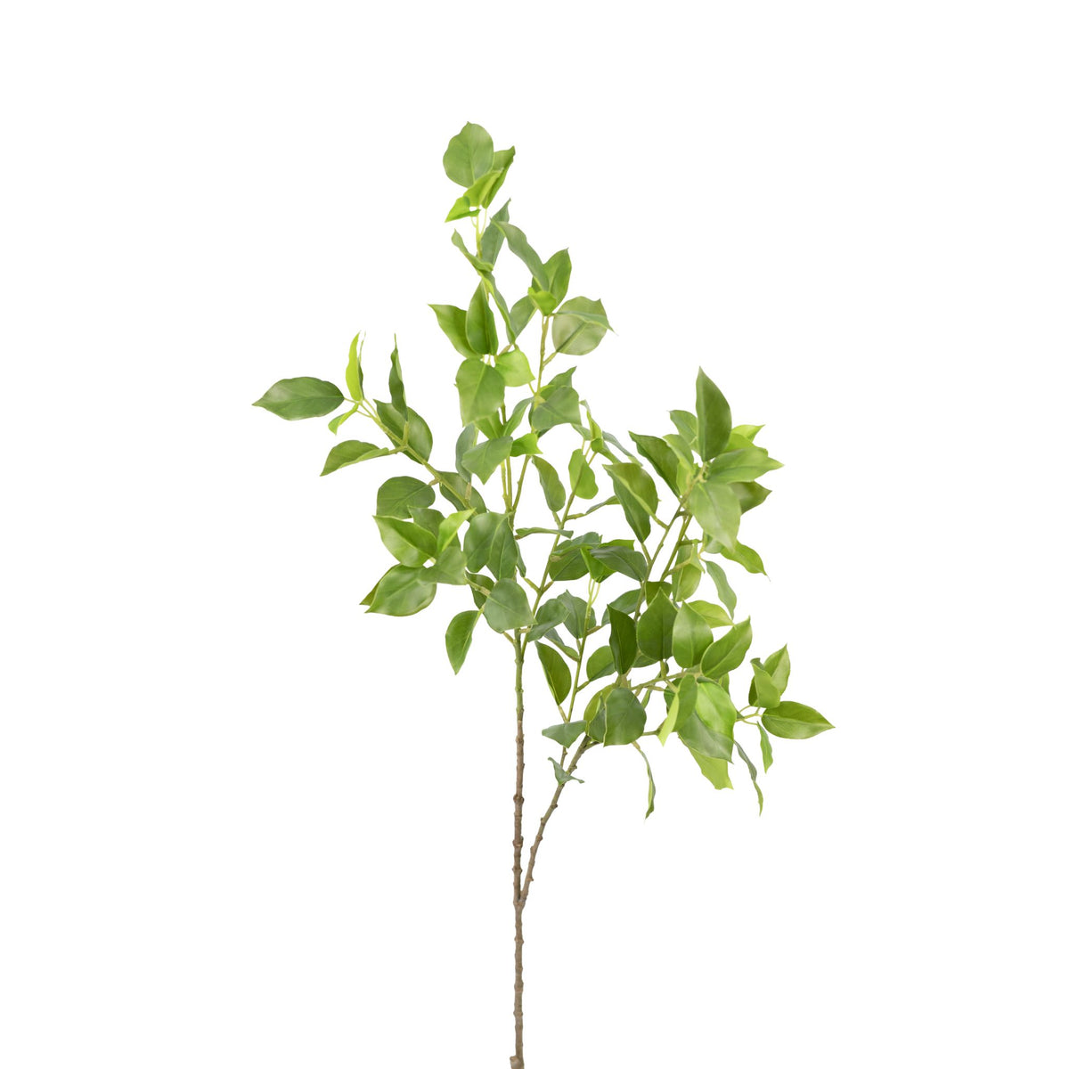 Ficus Branch - 100cm. Artificial plants available from www.plantcouture.co.za