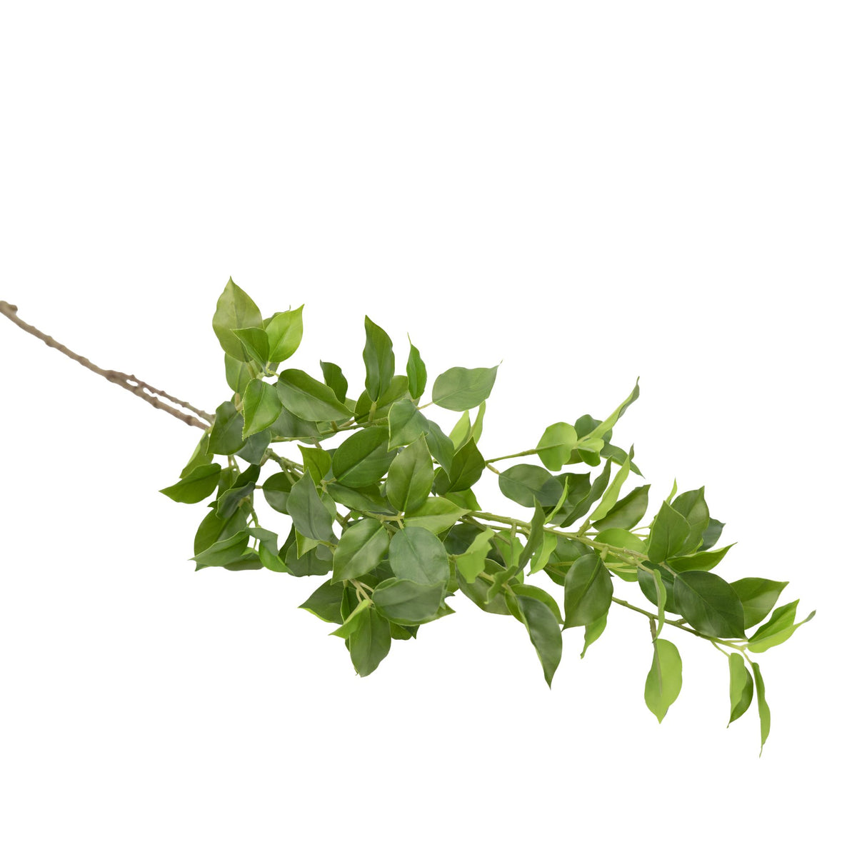 Ficus Branch - 100cm. Artificial plants available from www.plantcouture.co.za