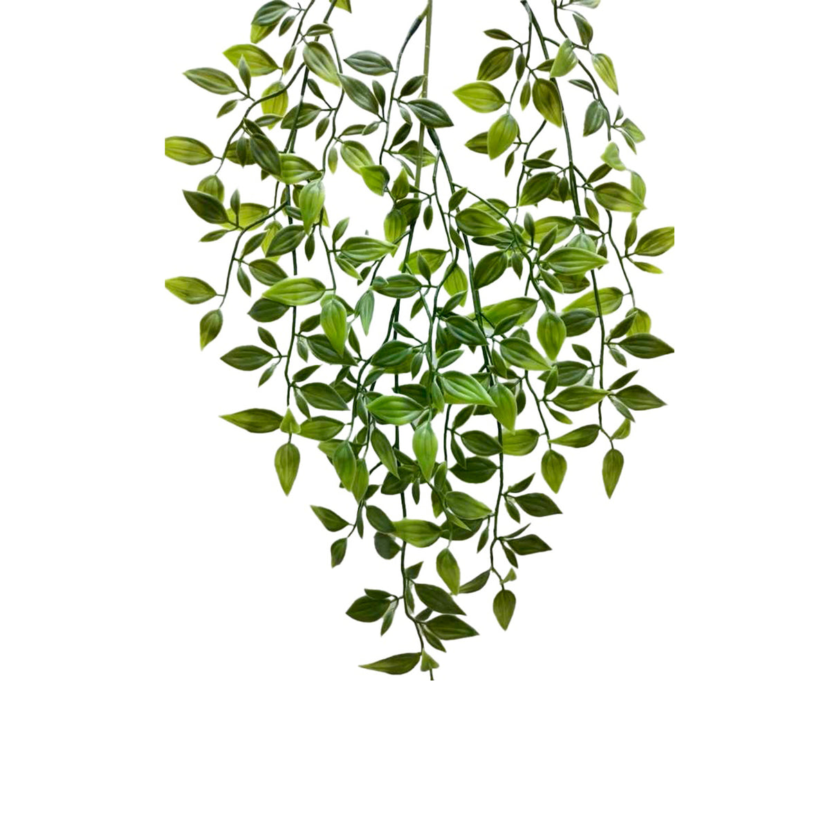 Hanging Tradescantia Bush 66cm