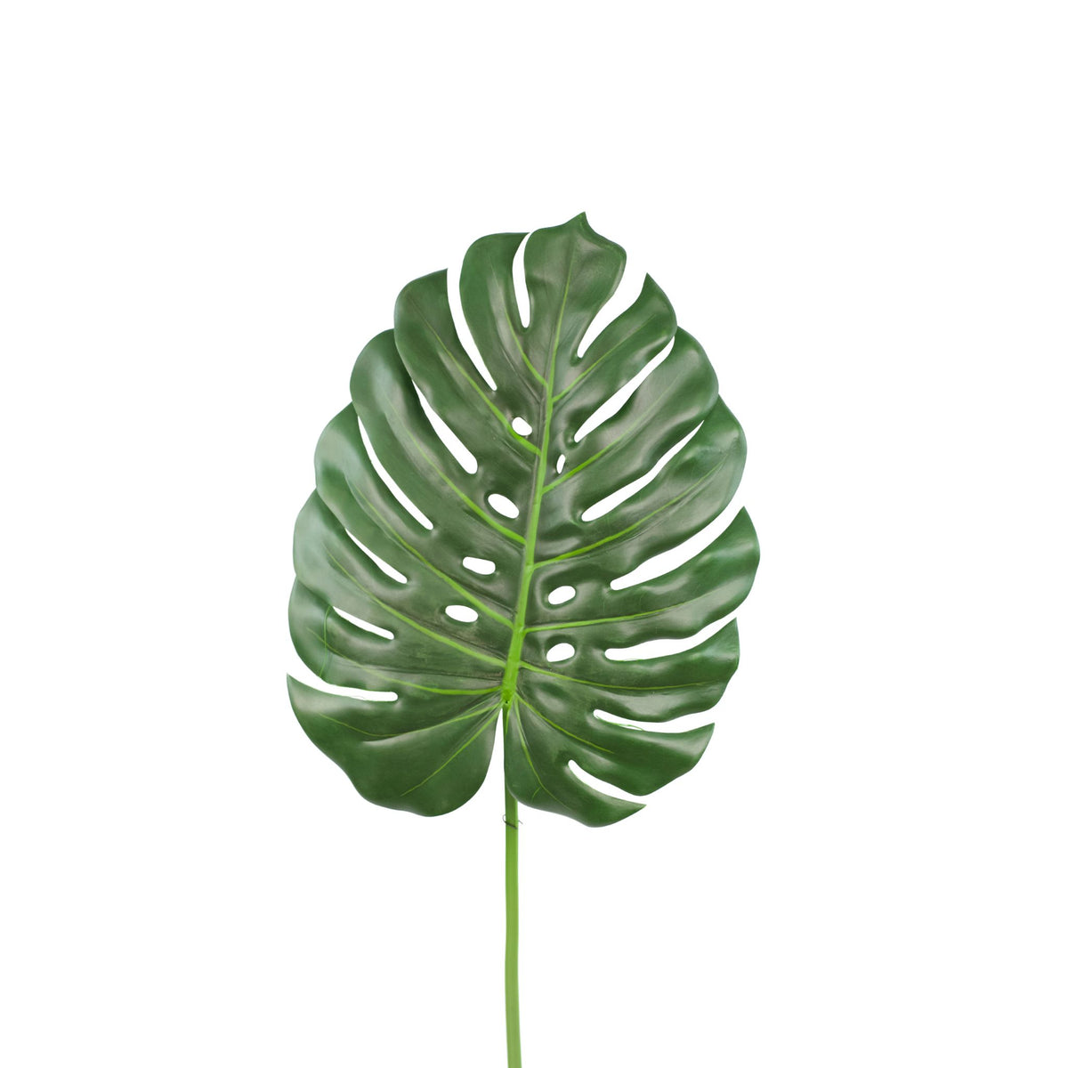 Monstera Leaf - 105cm