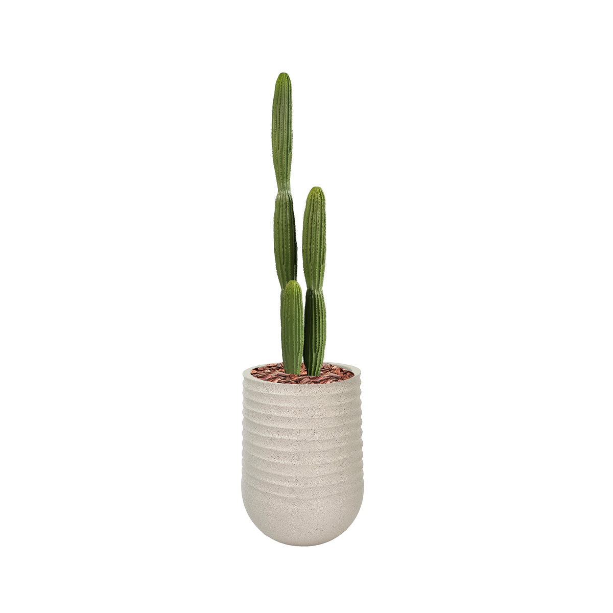 Artimis L Beige with Cactus - 150cm