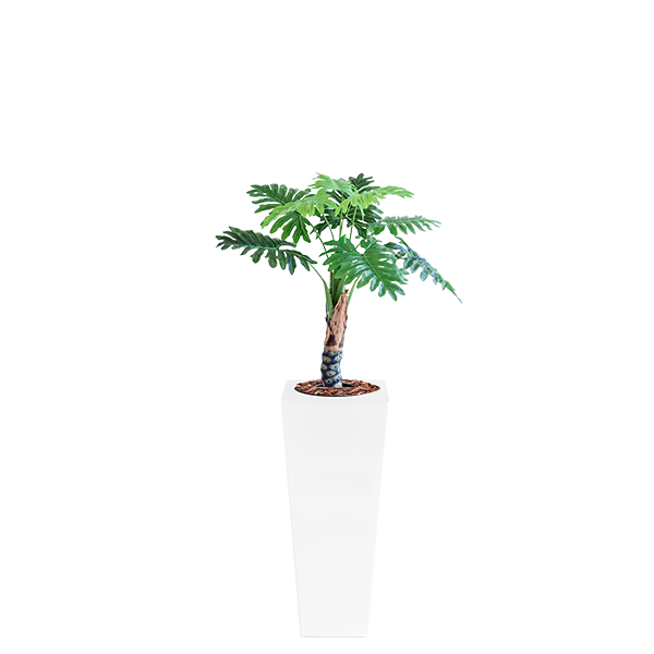 Plant Couture - Artificial Plant & Pot Combo - Armani B with Philodendron 90cm