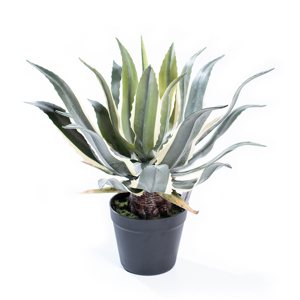 Filler Eyebrow Bush 45cm - Plant Couture - Artificial Plants