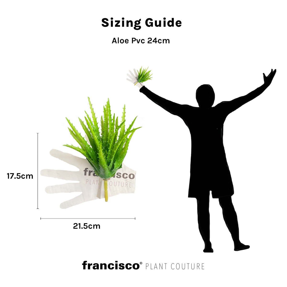 Aloe PVC - 24cm