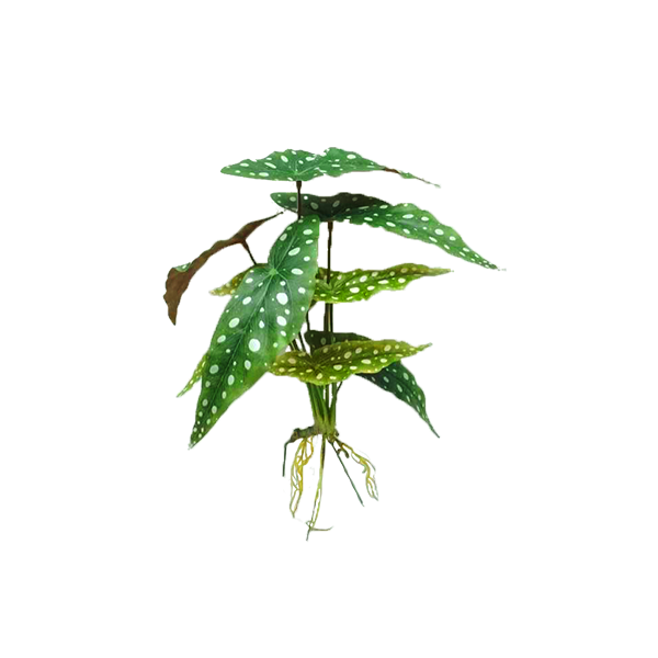 Filler Eyebrow Bush 45cm - Plant Couture - Artificial Plants